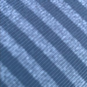 Meet your Posher, Jayla